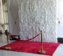 red-carpet-rental