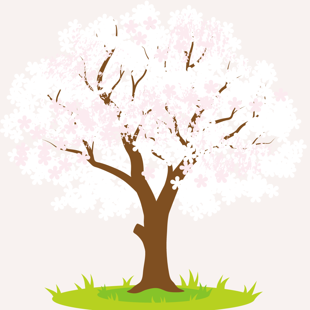 White Cherry Blossom Tree