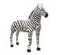 rent-safari-zebra-animal